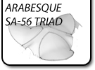 Stagecover, band shell, arabesque saddle shape span 80
